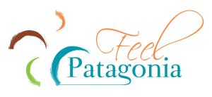 Feel Pataognia